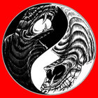 bandcamp k burns Yith bandcamp k burns Yith