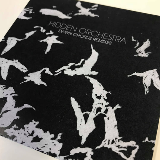 Dawn Chorus Remixes | Hidden Orchestra