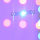 Lætitia thumbnail