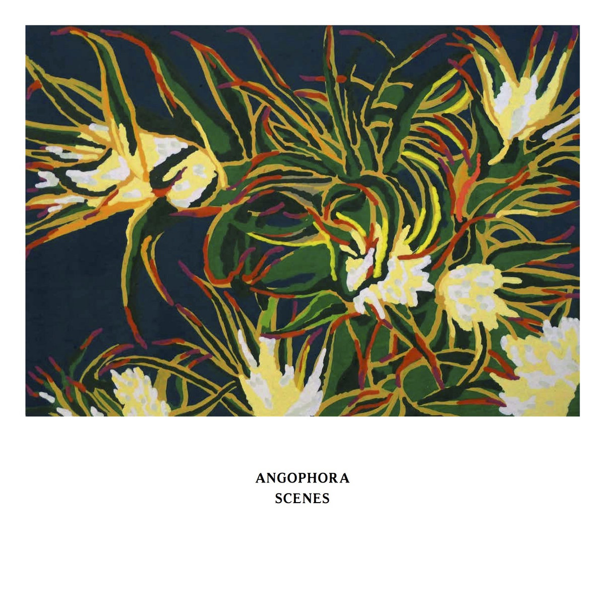 Angophora – Scenes Scenes | Angophora | Ken Oath Records