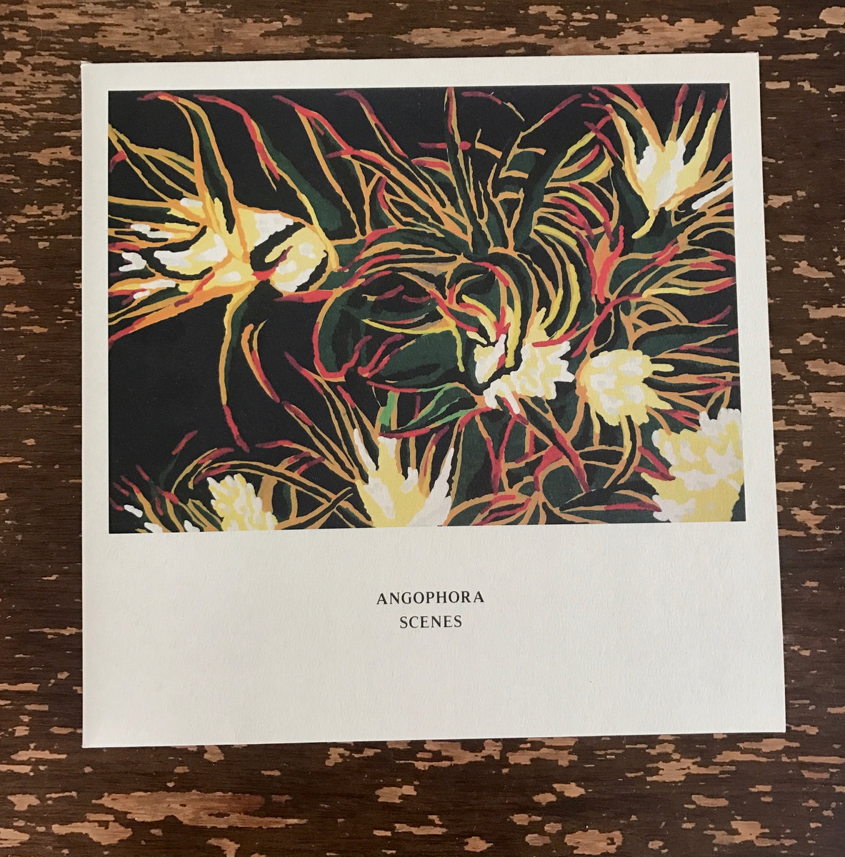 Angophora – Scenes Angophora - Scenes | Angophora | Ken Oath Records