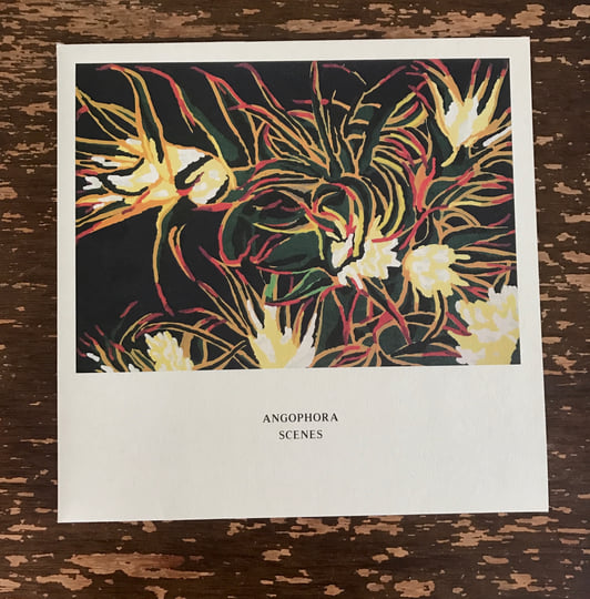 Angophora – Scenes Angophora - Scenes | Angophora | Ken Oath Records