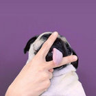 borisqqwz thumbnail