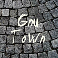 Gnu Town image