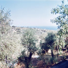 ekeneil thumbnail