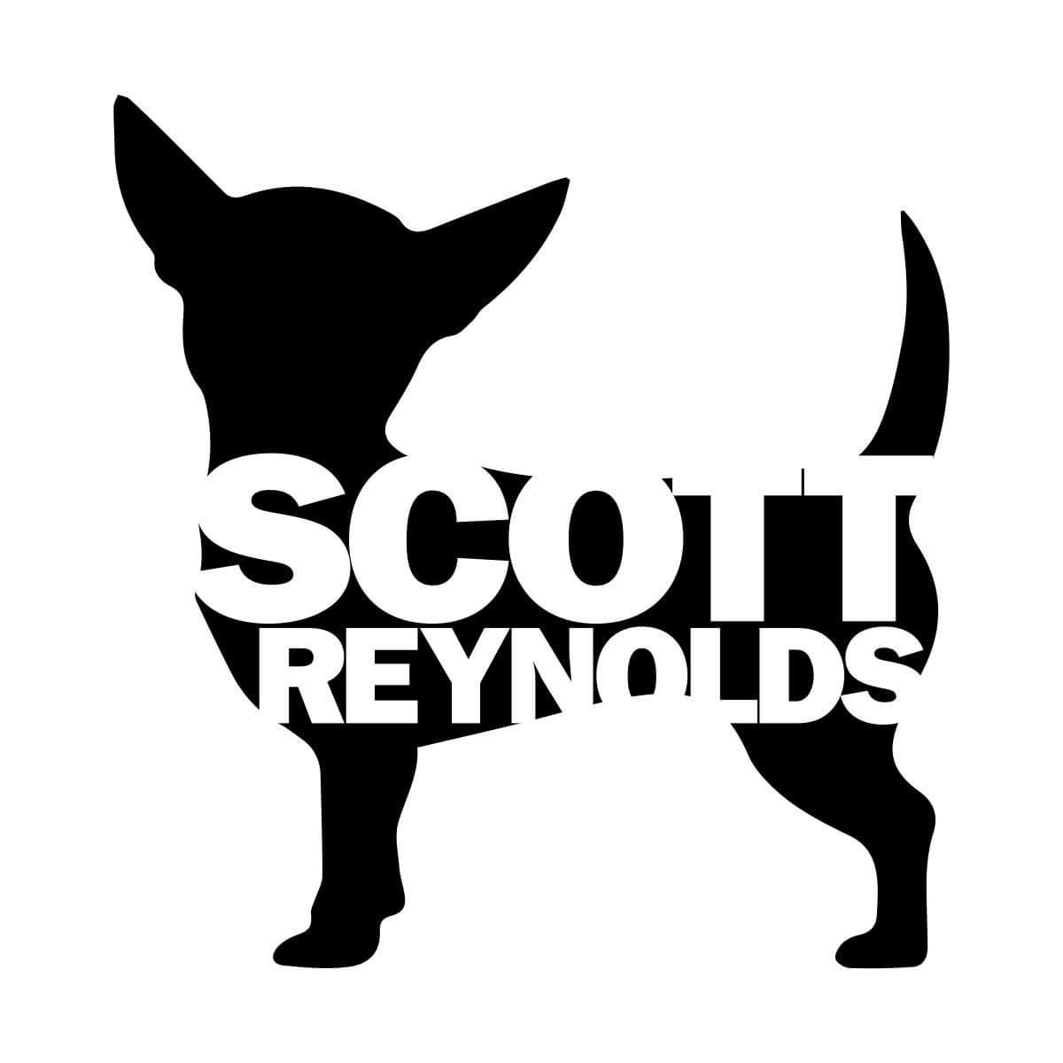 (CD)Livin the Dream／Scott Reynolds Scott Reynolds - Livin' The Dream (CD 2007) Pavers Goodbye