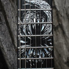 12breacher thumbnail