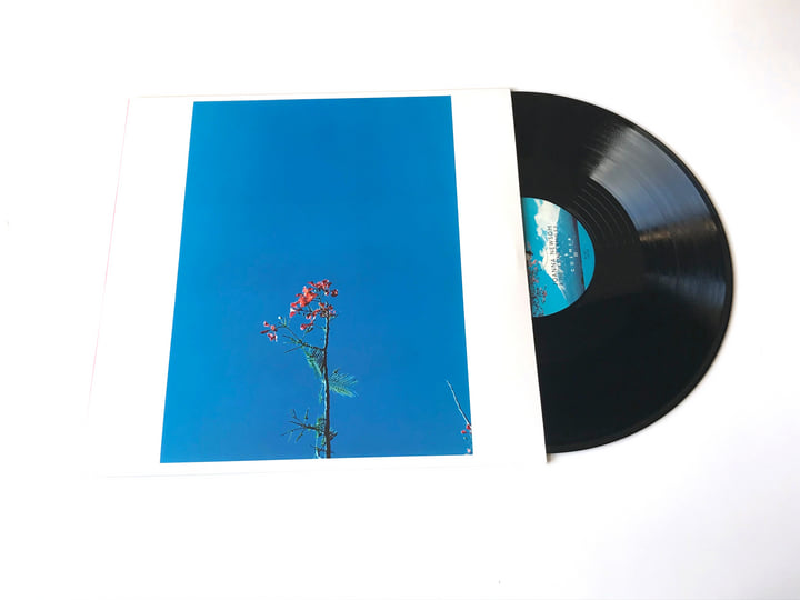 Joanna Newsom & The Ys Street Band | Joanna Newsom