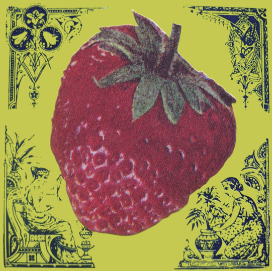 Strawberry | Wussy