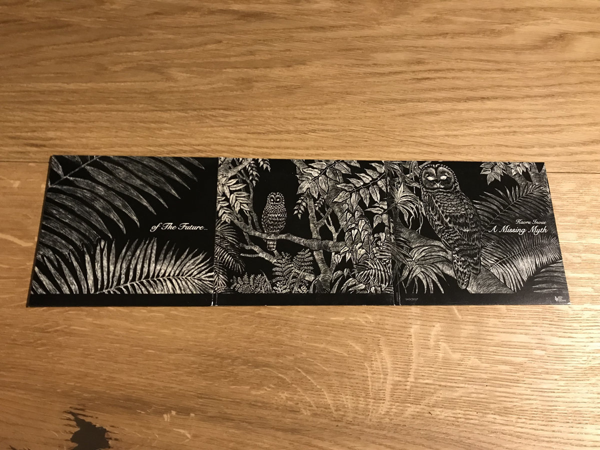 A Missing Myth | Kaoru Inoue | SeedsAndGround