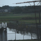 sagara1990 thumbnail