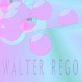 Walter Rego image