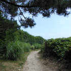 aquietpath thumbnail