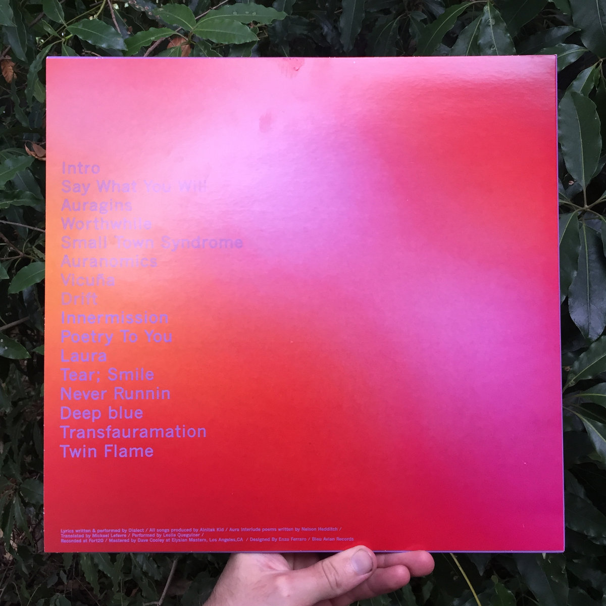 Photograph Your Aura Photograph Your Aura