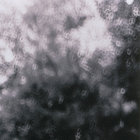 lemonseltzer thumbnail