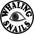 Whaling Snails image