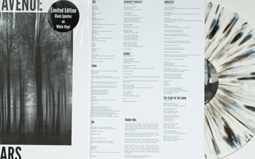 Limited Edition 12" Vinyl, image 4