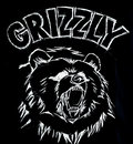 GRIZZLY image