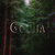gogia thumbnail