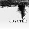 Coyotee image