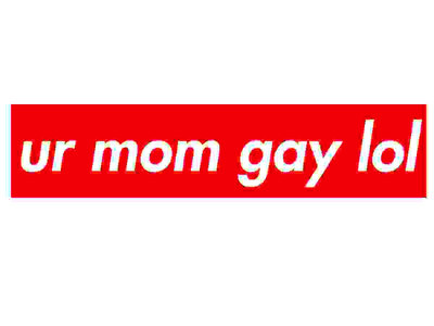 MERCH: ur mom gay lol main photo