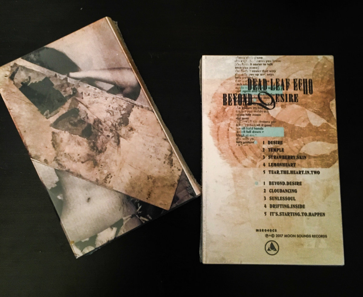 Beyond.Desire dead leaf echo