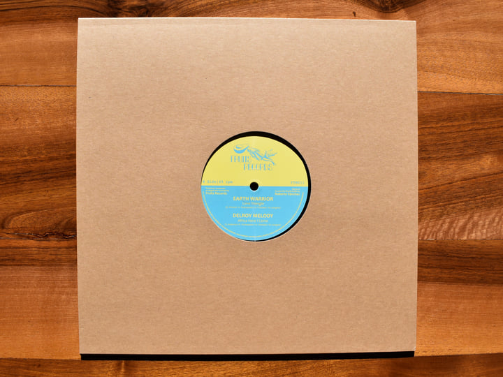 Magnetic Buzz Riddim | The 18th Parallel | Fruits Records