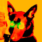 iams_ane thumbnail