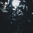 adactyl thumbnail