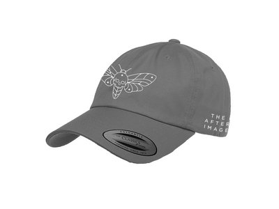 The Afterimage "Moth" Dad Hat main photo