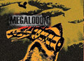 Megalodon image
