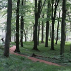 placerej thumbnail