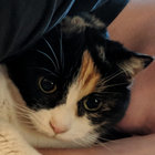 m t thumbnail