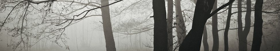 Fog of War — Photo