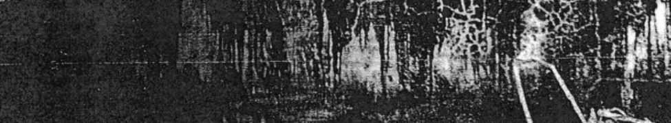Leila Bordreuil — Photo