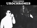 Urochromes image