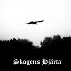 skohja  thumbnail