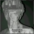 Poundskin image