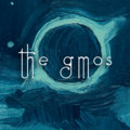 The GMOS image