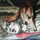 francisco thumbnail