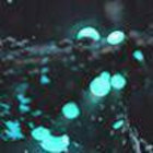 Reactive604 thumbnail