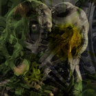 Hedorah Tribe thumbnail