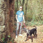 BD thumbnail