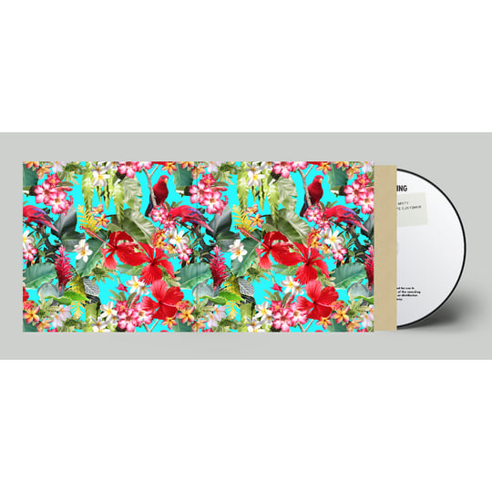 God's Favorite Customer | FATHER JOHN MISTY