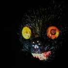ViolaDrone thumbnail