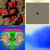 dibble12 thumbnail