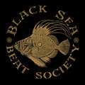 Black Sea Beat Society image