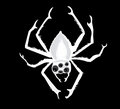 Mirkwood Spiders image