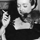 cat_loving_harridan thumbnail