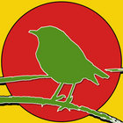 Pedro Bird thumbnail